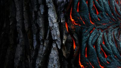 The Path of Least Resistance (and Why It Bit Me Back)